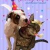 Birthday Wishes Kisses!