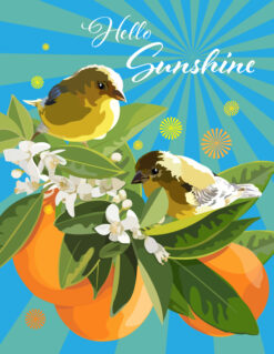 Hello Sunshine!