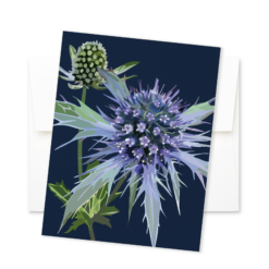 Alternative view of Sea Holly Note Card