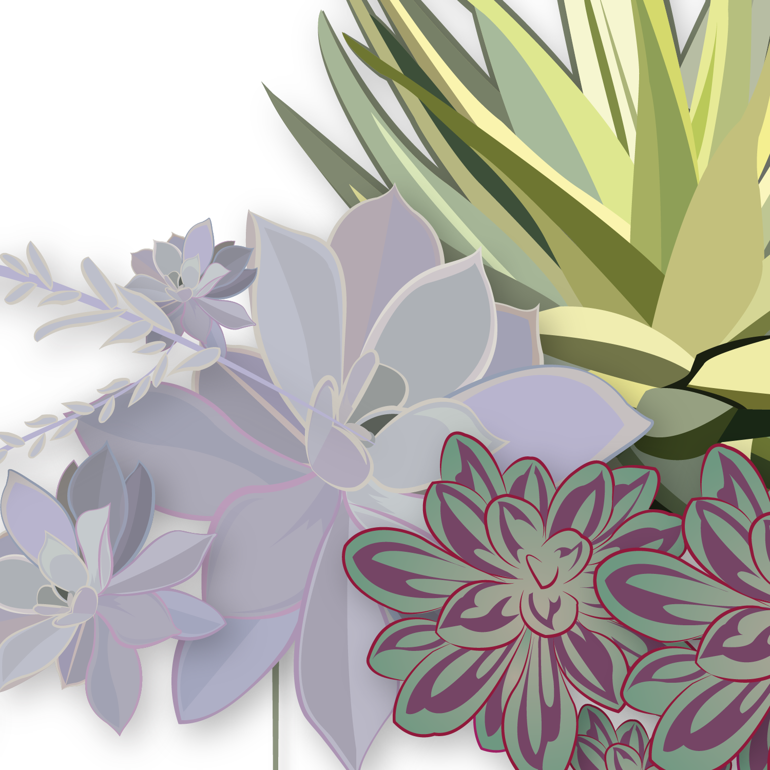 Thank You Succulent - Image 3