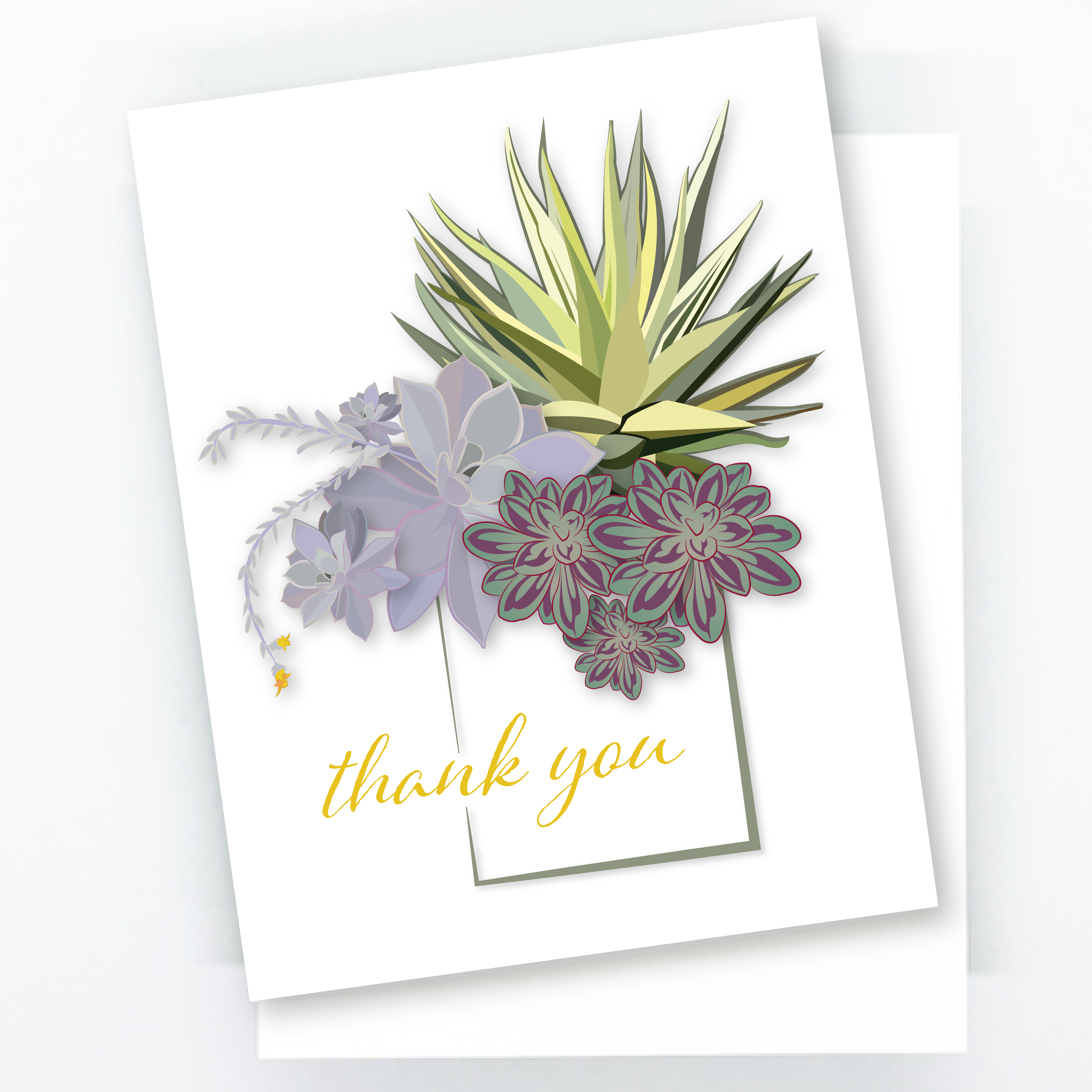Alternative view of Thank You Succulent