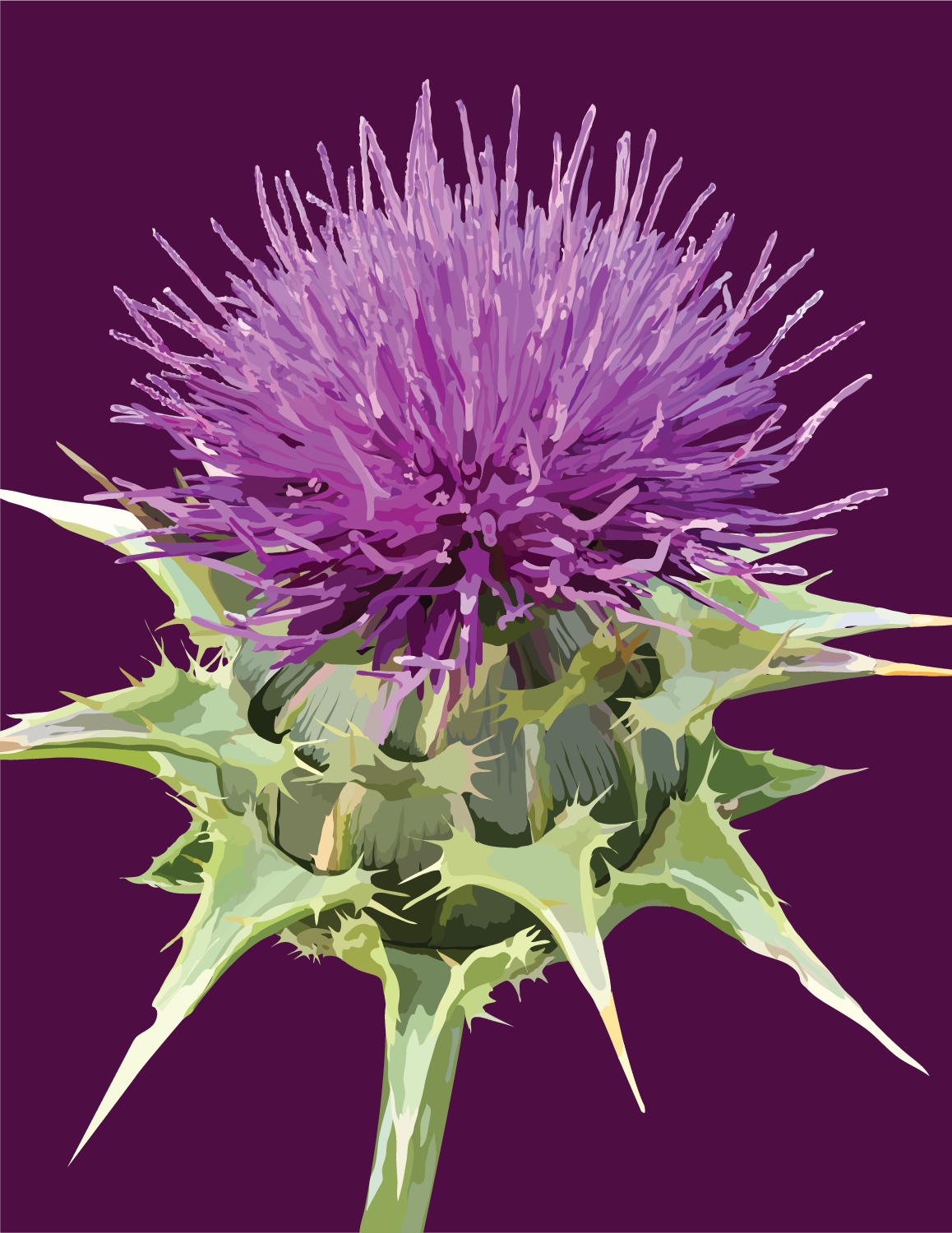 Thistle Note Card
