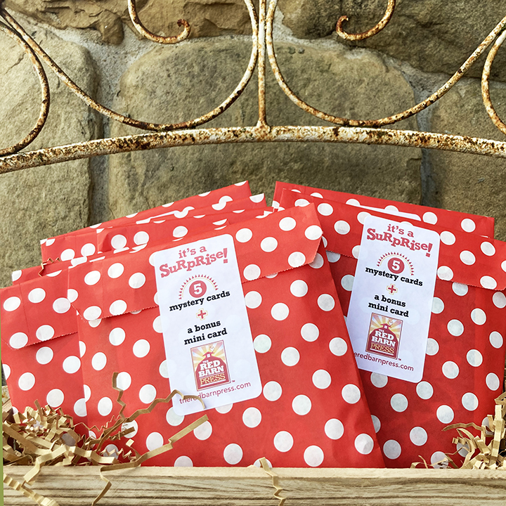 Surprise Bags! - Image 2