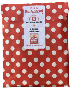 Surprise Bags!