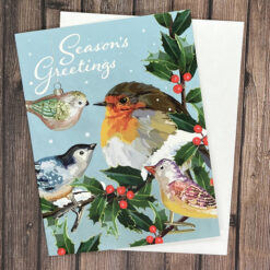 Alternative view of Robin with Friends