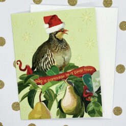 Alternative view of Partridge in a Pear Tree!