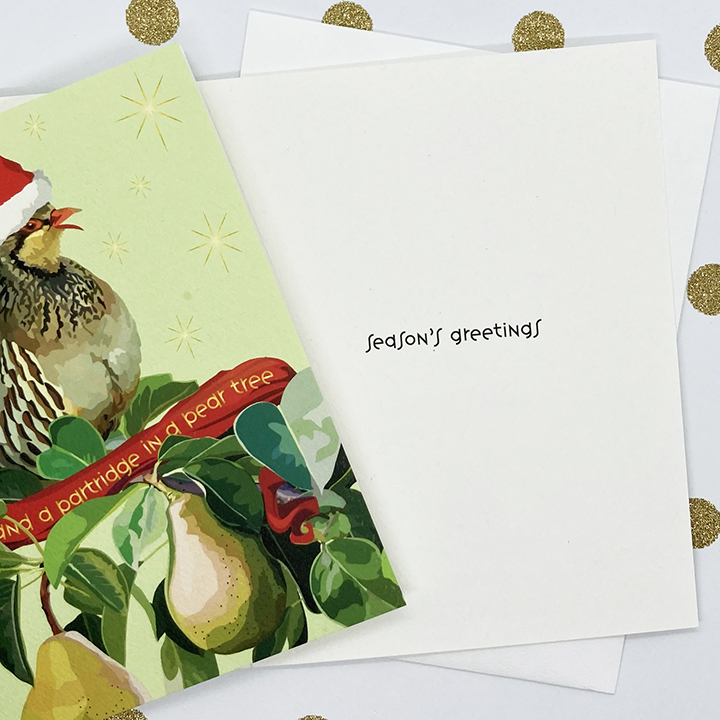 Partridge in a Pear Tree! - Image 3