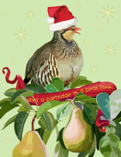 Partridge in a Pear Tree!