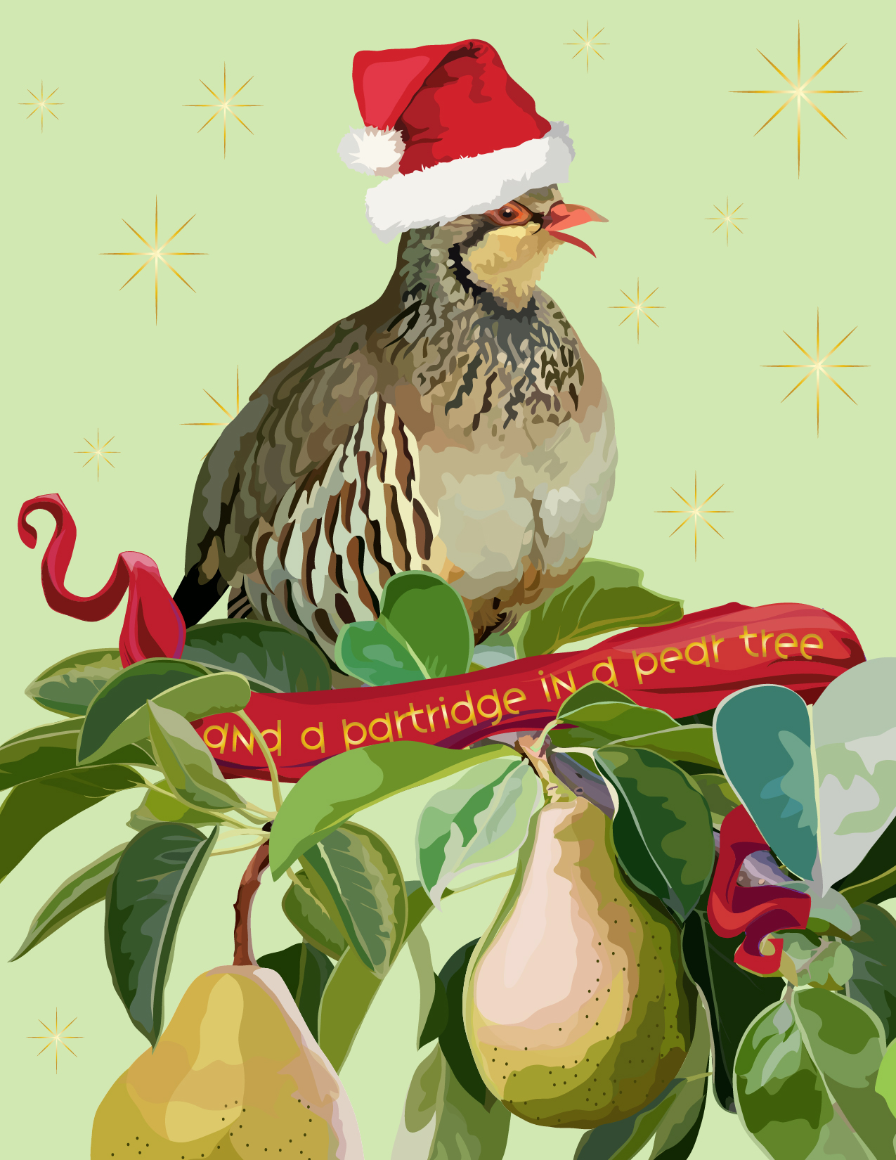 Partridge in a Pear Tree!