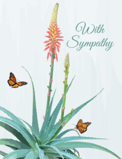 With Sympathy Aloe