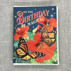 Alternative view of The Magical Birthday!