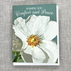 Alternative view of Comfort and Peace