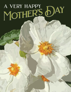 Mother's and Father's Day
