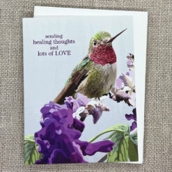 Alternative view of Healing Hummingbird