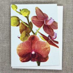Alternative view of Orchid and Buds Note Card