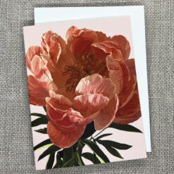 Alternative view of Pink Peony Note Card