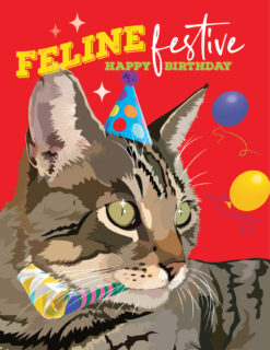 Feline Festive!