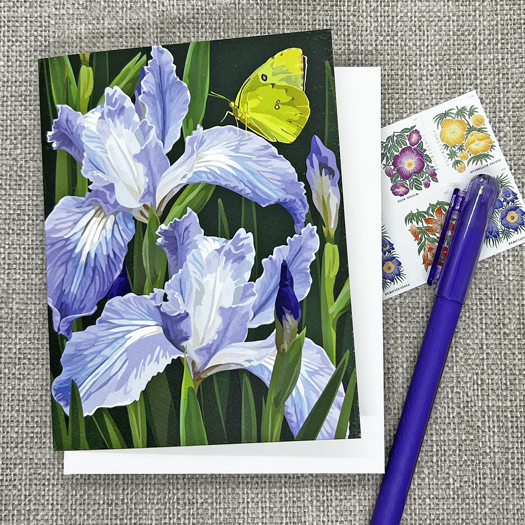 Pacific Coast Iris and California Dogface Butterfly - Image 3