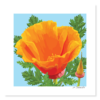 California Poppy Giclée Print