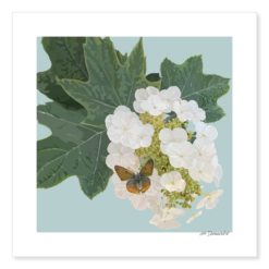 Oak Leaf Hydrangea with Butterfly Giclée Print