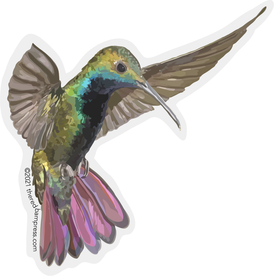 Hummingbird in Flight