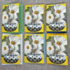 Rock Roses Birthday - Set of Six