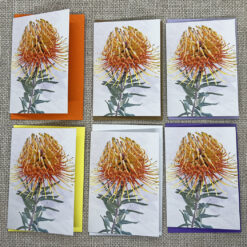 Protea Flower - Set of Six