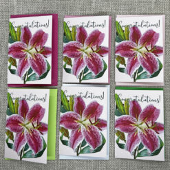 Congratulations Lily - Set of Six