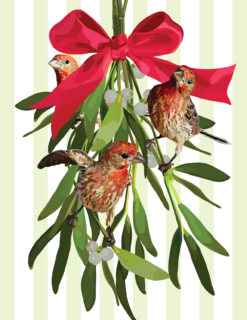 Mistletoe and Finches