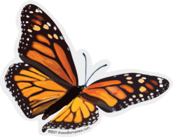 Flying Monarch