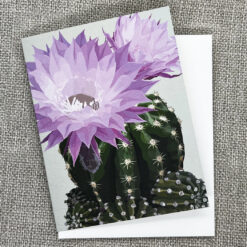 Alternative view of Blooming Cactus