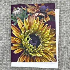 Alternative view of Late Summer Zinnias