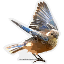 Bird Set to Fly