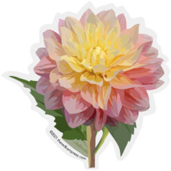 Dahlia
