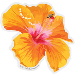 Hibiscus and Bee
