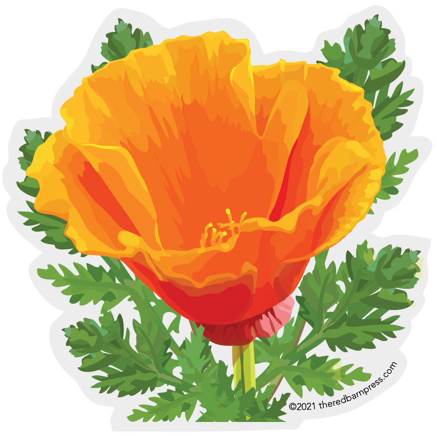 California Poppy Sticker - BEST SELLER!