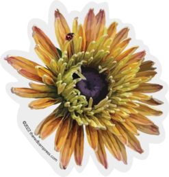 Zinnia Sticker