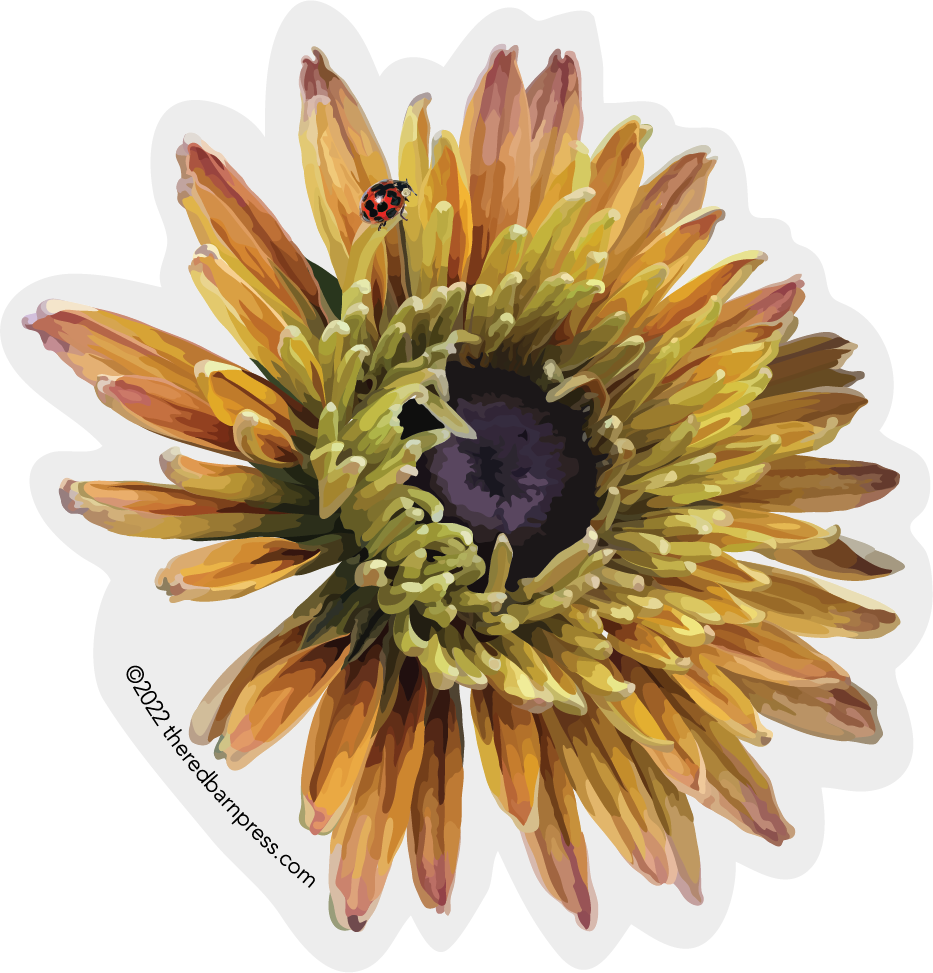 Zinnia Sticker