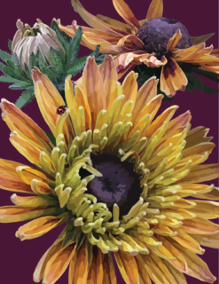 Late Summer Zinnias