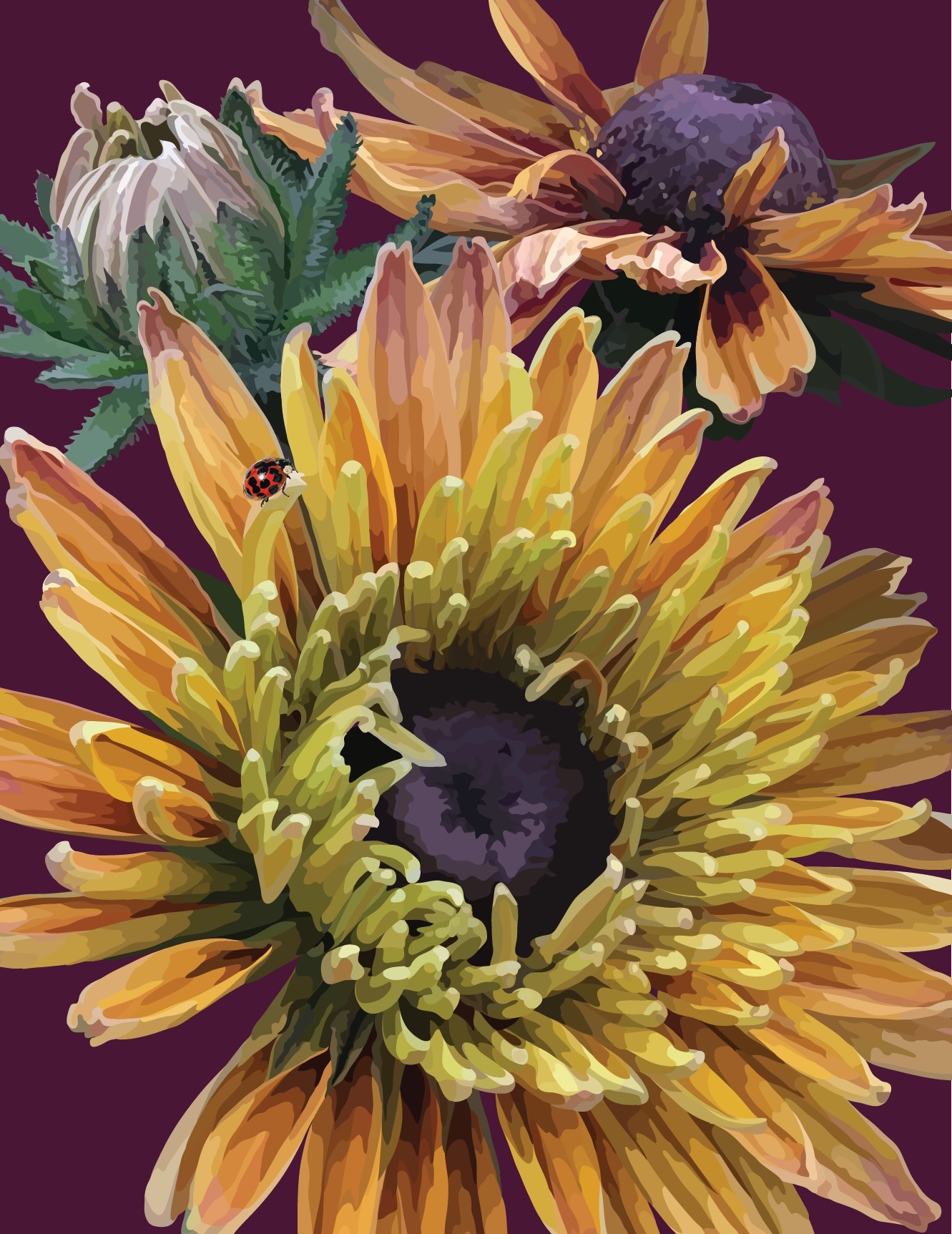 Late Summer Zinnias