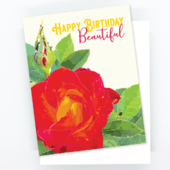 Alternative view of Happy Birthday Beautiful