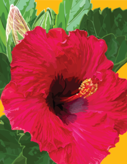 Hibiscus Notecard