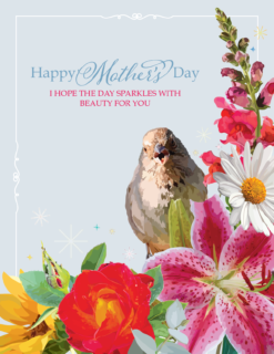 Mother's Day Sparkling Beauty