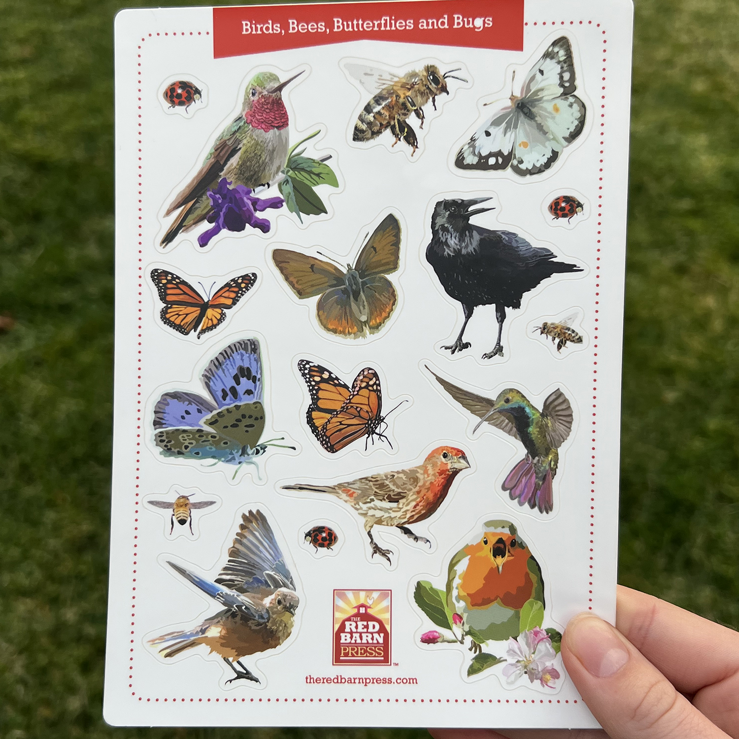 Birds, Bees, Butterflies, and Bugs Sticker Sheet - Image 2