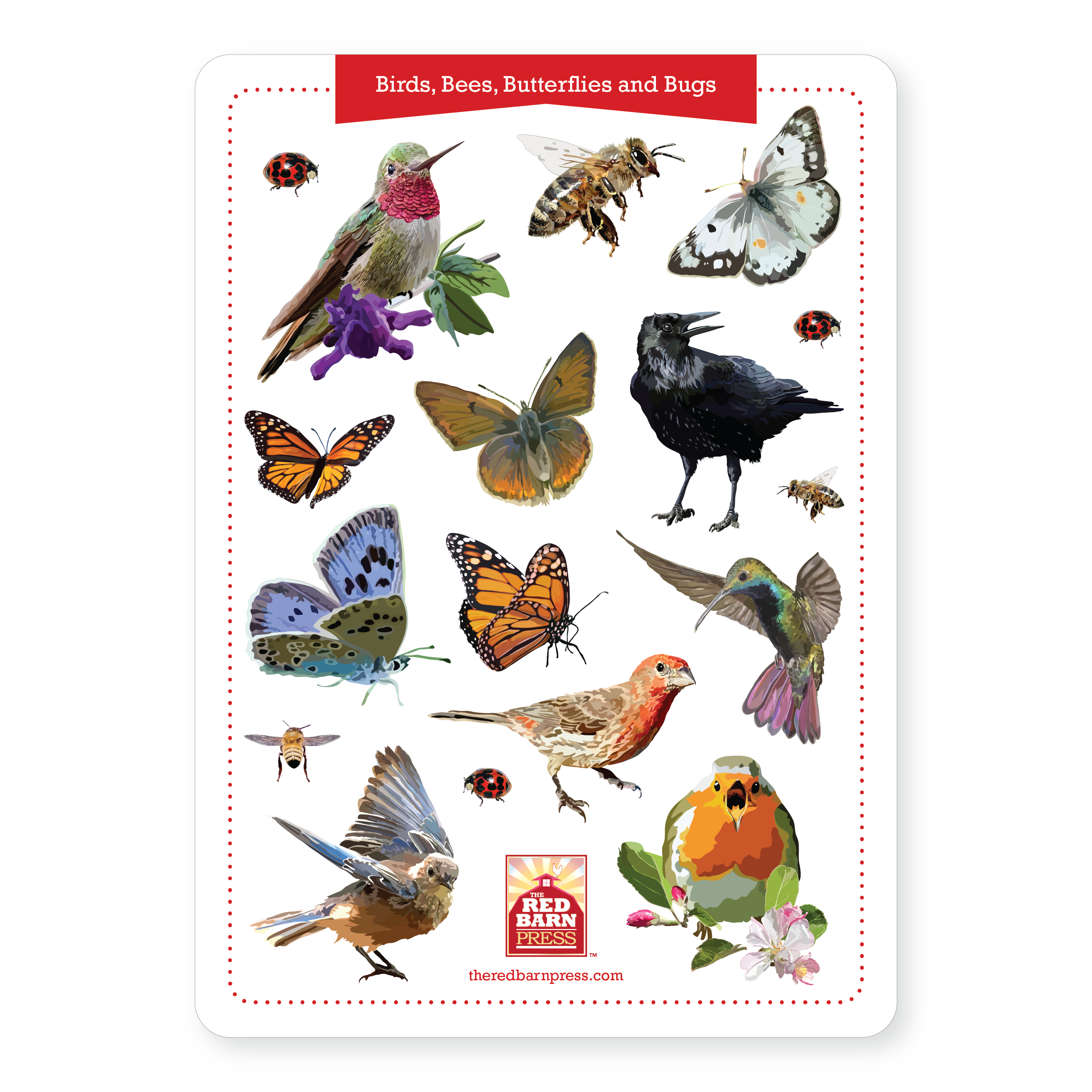 Birds, Bees, Butterflies, and Bugs Sticker Sheet