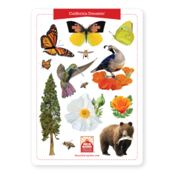 California Dreamin' Sticker Sheet
