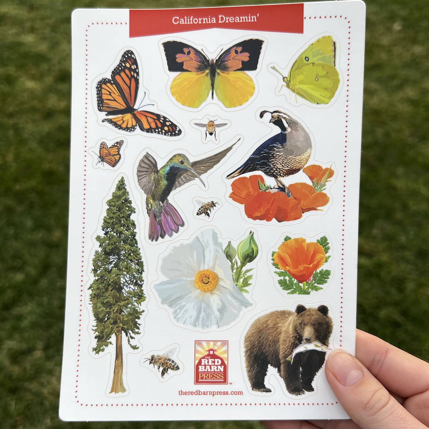 California Dreamin' Sticker Sheet - Image 2