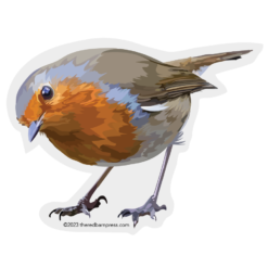 Cute Lil Robin Sticker