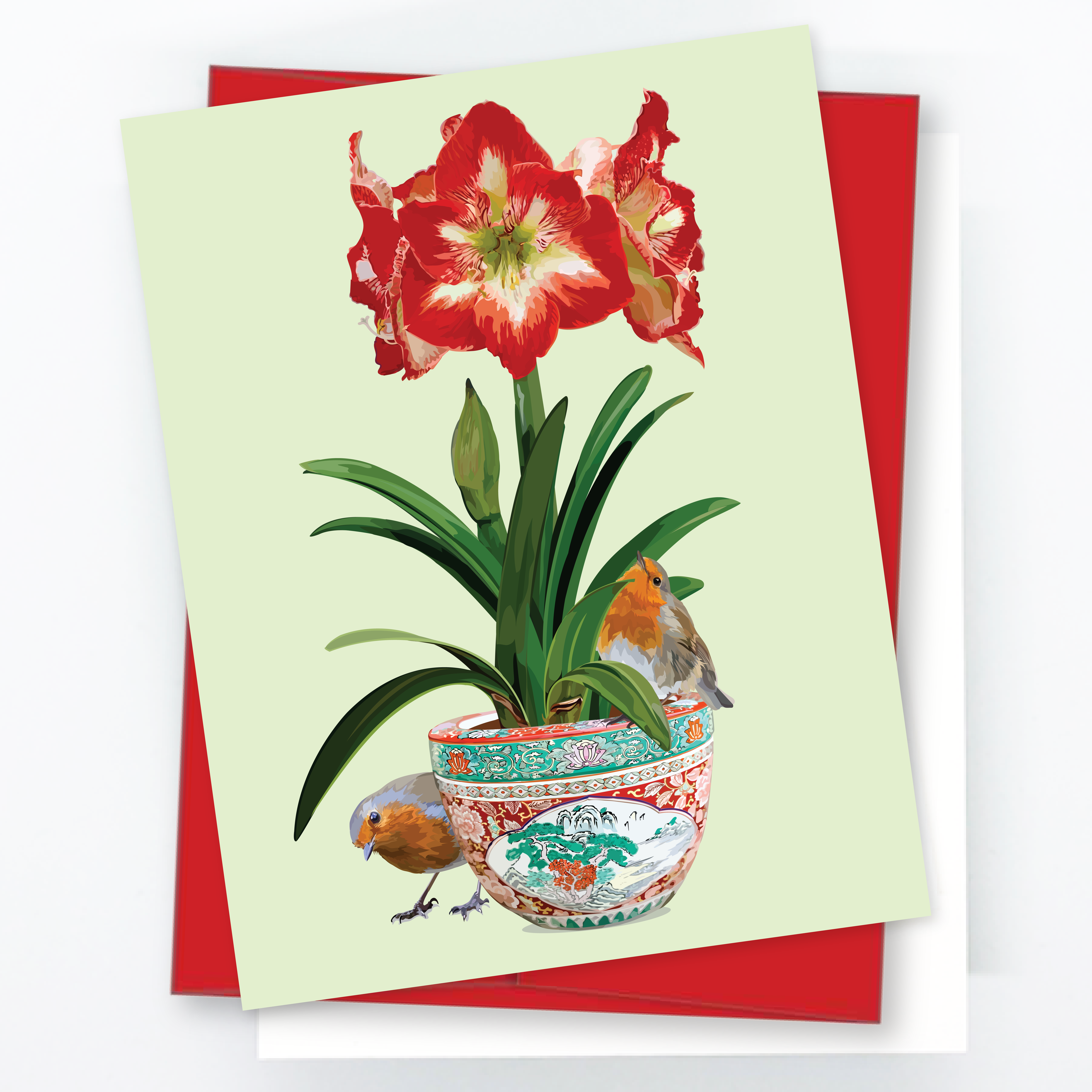 Alternative view of Christmas Star Red Amaryllis with Robins