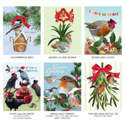Alternative view of Variety of Christmas Birdies Bundle